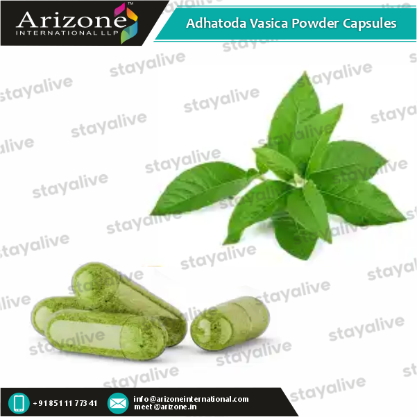 Adhatoda Vasica Powder Capsules