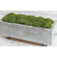 Rcc Garden Planter - Reinforced Concrete, Various Sizes Available | Polished Finish, Durable And Elegant Design For Outdoor Use