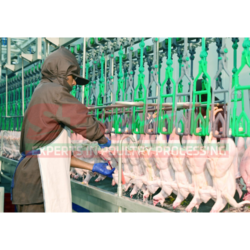 High Quality Evisceration Belt Conveyor