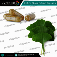 Ginkgo Biloba Extract Capsules