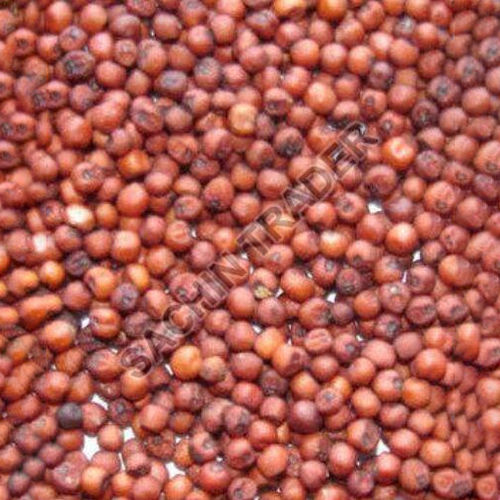 Common Natural Ragi Seeds