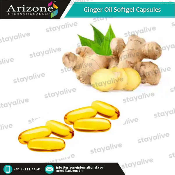 Ginger Oil Softgel Capsules