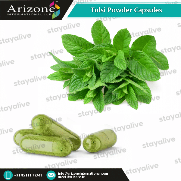 Tulsi Powder Capsules