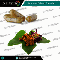 Mucuna Extract Capsules