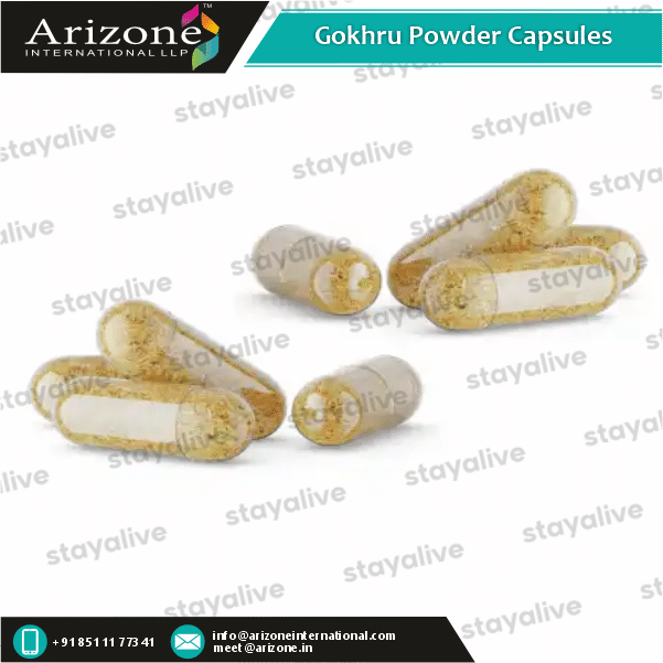 Gokhru Powder Capsules