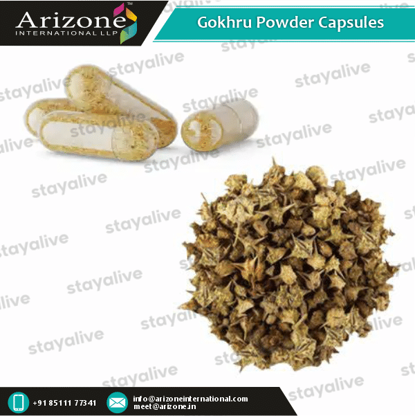 Gokhru Powder Capsules