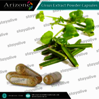 Cissus Extract Powder Capsules