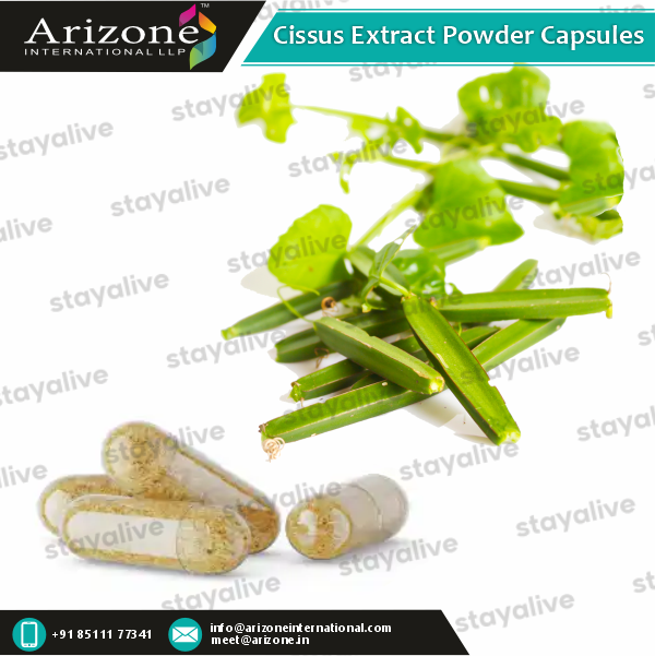 Cissus Extract Powder Capsules