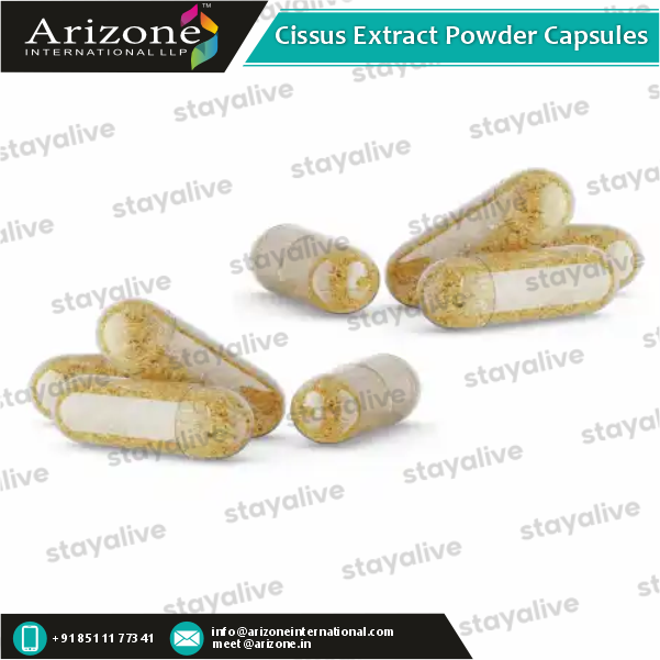 Cissus Extract Powder Capsules