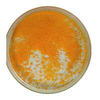 Sodium Gold Chloride Chemical - Color: Yellow