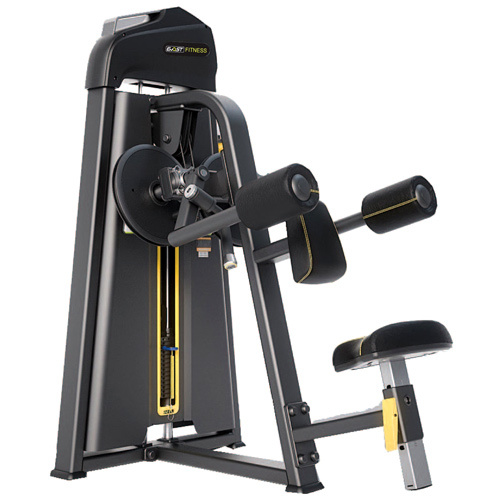 Lateral Raise machine