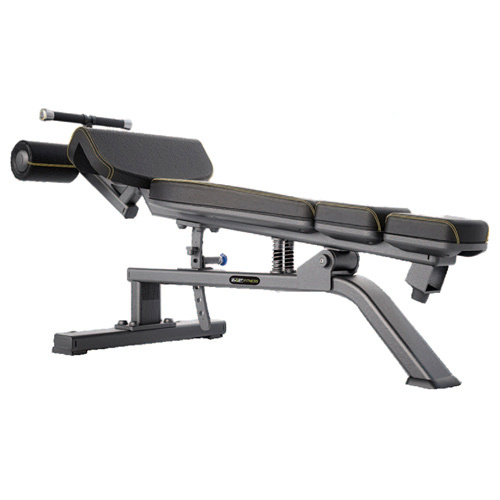 CoreDrop Adjustable Bench