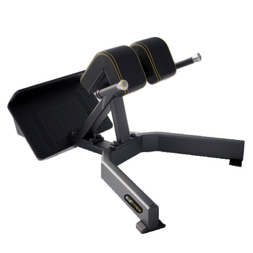 SpineMaster Extension Bench