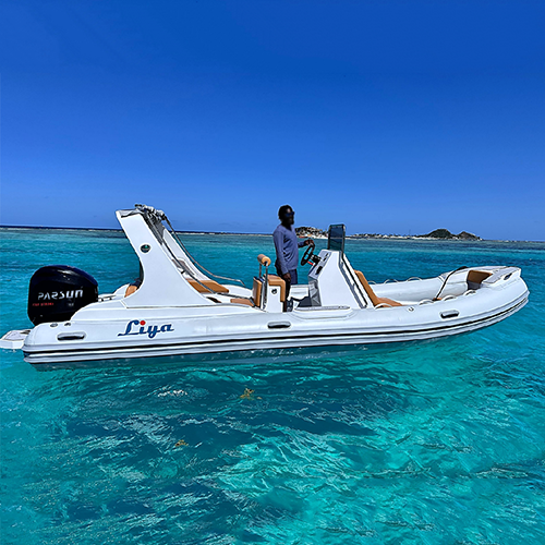 Liya Rib Boat Rigid Inflatable Boat Rib Boat Outboard Motor 6.6M/22Feet - Capacity: 1664 Kg/Hr