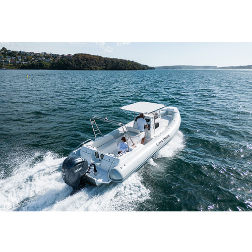 Liya 8.3m inflatable Rib Boats Consoles Yacht
