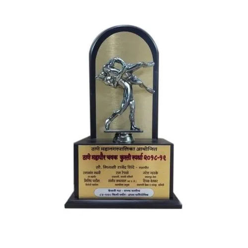 Wrestling Award Trophy - Color: Brown