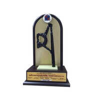 Sports Award Trophy
