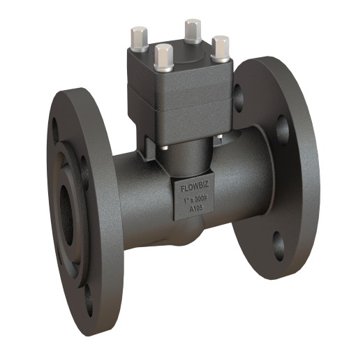 Industrial Lift Check Valve Manufacturer Rajkot