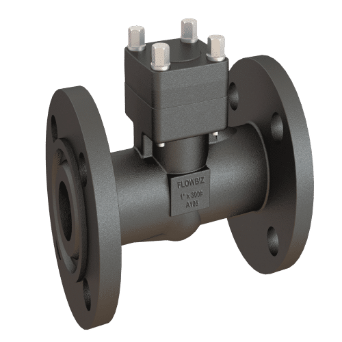 Lift Check Valve Manufacturer in Rajkot