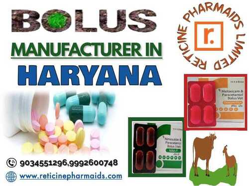 BOLUS MANUFACTURER IN HARYANA