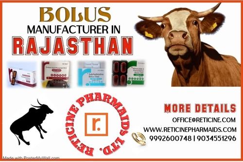 BOLUS MANUFACTURER IN RAJASTHAN