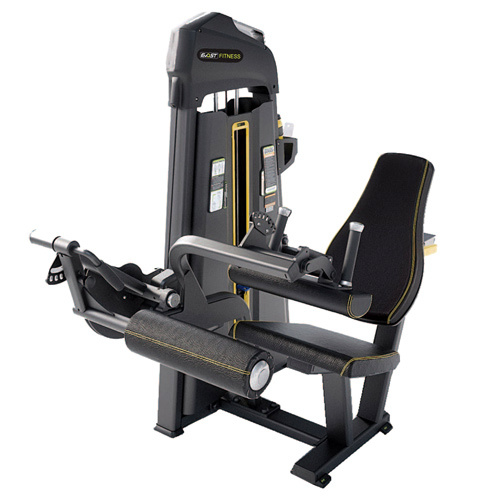 HamFlex Seated Curl Machine