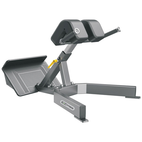 SpineFlex Extension Bench