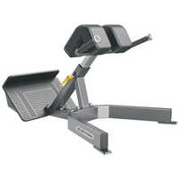 SpineFlex Extension Bench