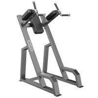 Vertical Knees Up-dip - Application: Tone Up Muscle