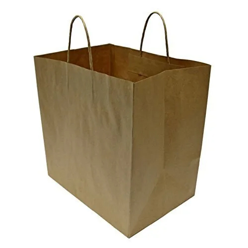 Brown Rectangular Paper Carry Bag