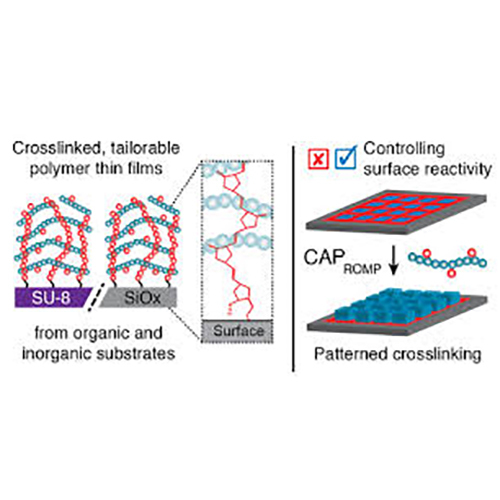 Surface Cross-Linking Polymers
