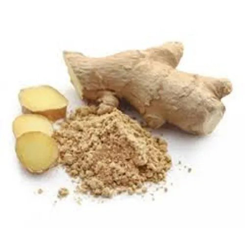 Ginger Powder - Age Group: For Children