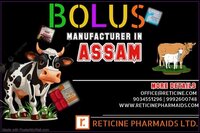 असम में बोलस निर्माता