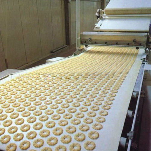 Cancas Biscuit Plant Conveyer Belt