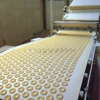 Biscuit Plant Convener Belt - Features: Heat Resistant