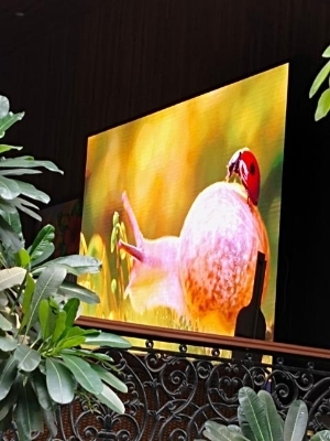P2.5 OUTDOOR LED Video Wall