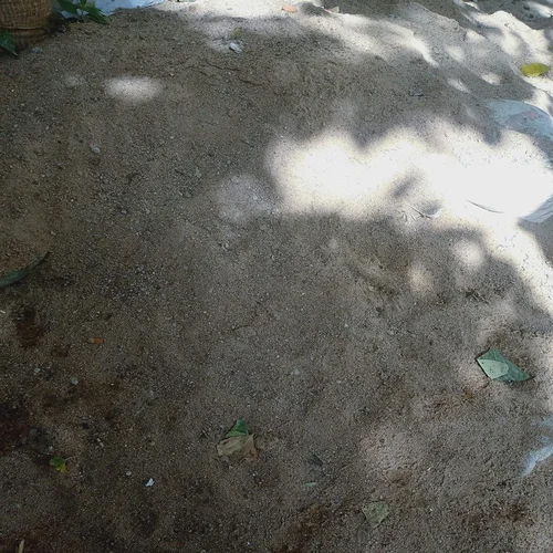 River Sand - High Strength Natural Sand, Fine Grey Color, Unmatched Durability for Versatile Applications