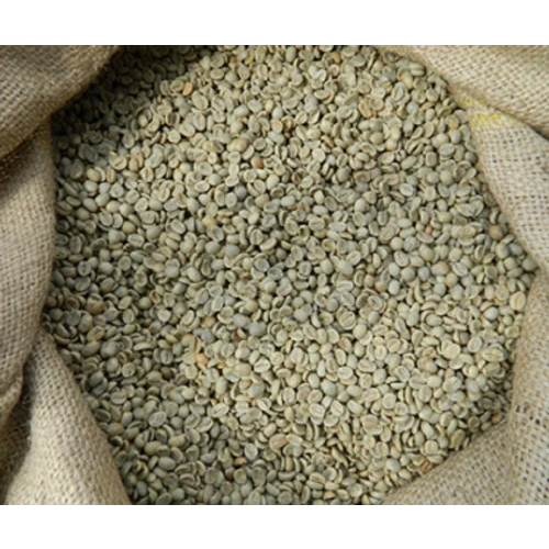 Washed Arabica Coffee Beans - Cultivation Type: Organic