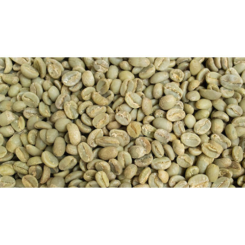 Washed Robusta Parchment Coffee Beans