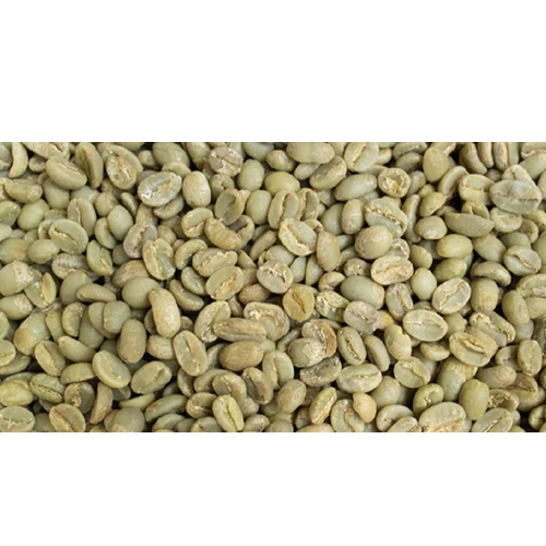 Washed Robusta Parchment Coffee Beans