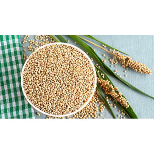 Normal Sorghum Millets