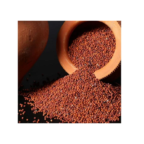 Finger Millets