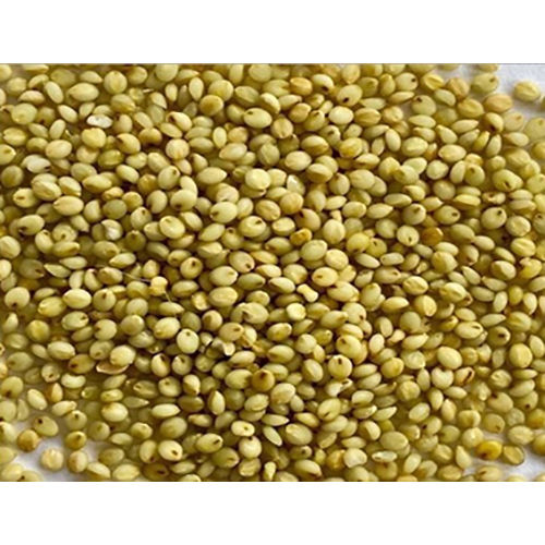 Browntop Millets Origin: India