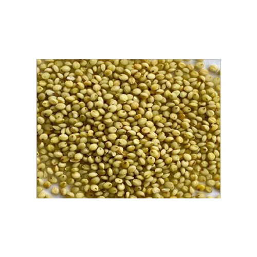Browntop Millets