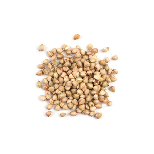 Normal Buckwheat Millets