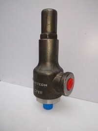 Thermal Relief Valve