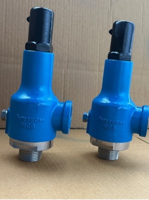 Safety Relief Valve - Silver Finish, Various Sizes | Industrial Safety Relief Check Valve for Overpressure and Vacuum Prevention