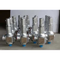 Safety Relief Check Valve