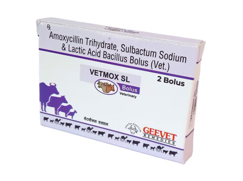 Amoxycillin Sulbactam and Lactic Acid Bacillus Bolus