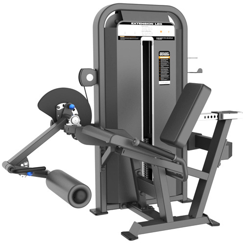 commercial Leg Extension equipment